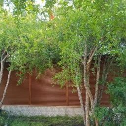 Mutluol Proje'den Milas Lalekent Sit Plajlı Havuzlu 2+1