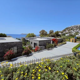 Gümüşlük'te Satılık Net 250 M2 3+1 Denize Sıfır Villa