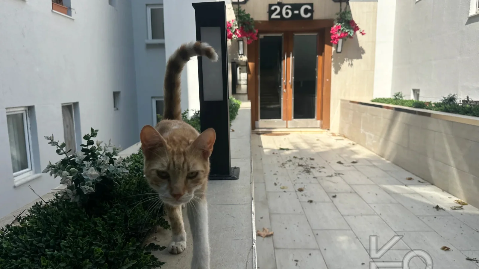 Rookz Fark Tarabya Sanatçilar Si̇tesi̇ Ki̇ralik Dubleks Dai̇re Bakimli