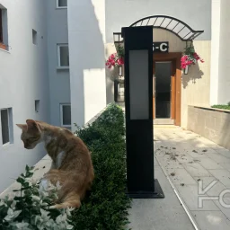 Rookz Fark Tarabya Sanatçilar Si̇tesi̇ Ki̇ralik Dubleks Dai̇re Bakimli
