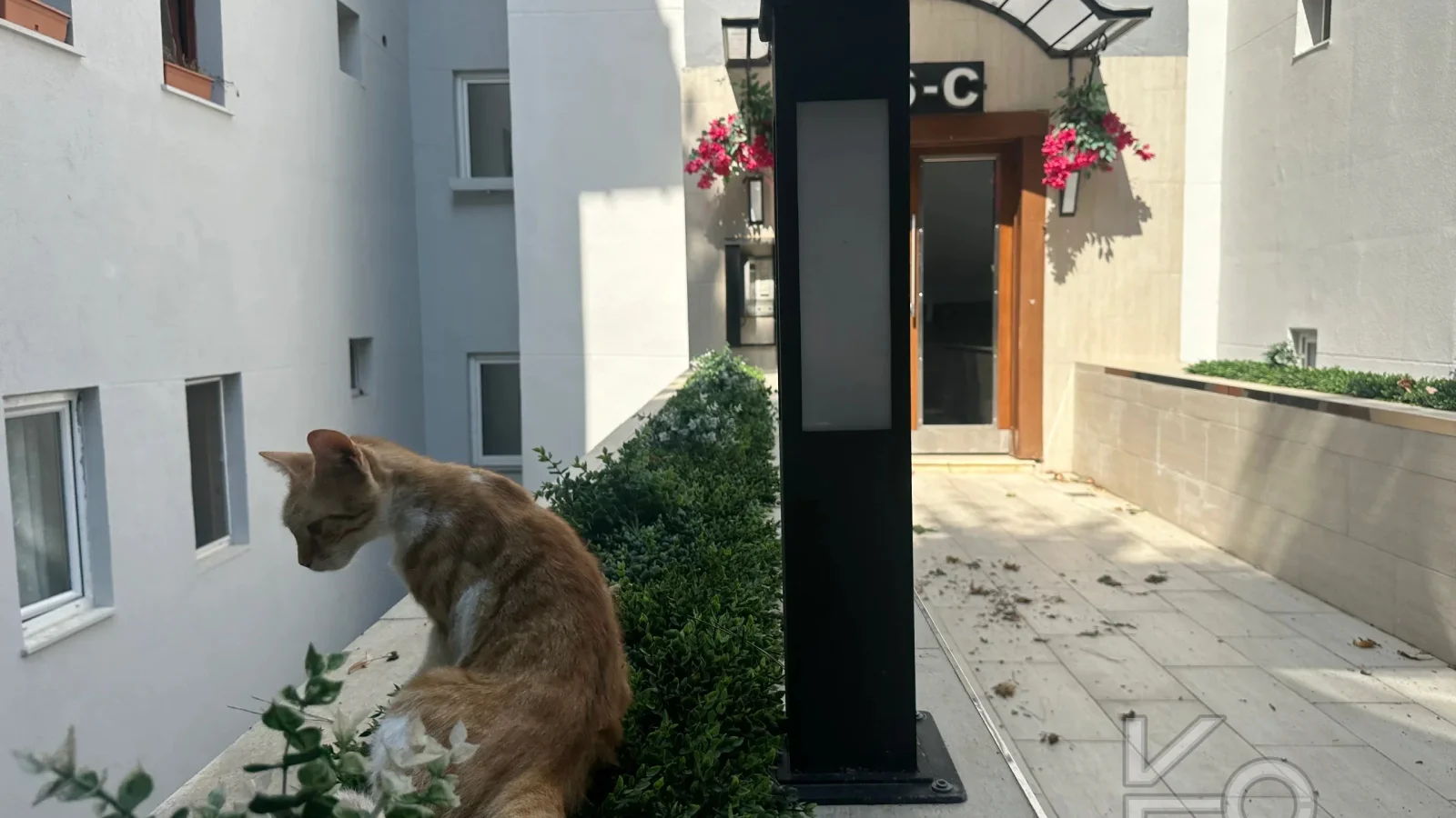 Rookz Fark Tarabya Sanatçilar Si̇tesi̇ Ki̇ralik Dubleks Dai̇re Bakimli