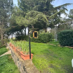 Tekirdağ Süleymanpaşa'da Meyve Ağaçları İçinde Müstakil Ev
