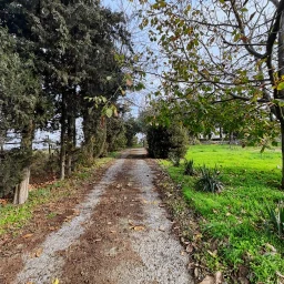 Tekirdağ Süleymanpaşa'da Meyve Ağaçları İçinde Müstakil Ev
