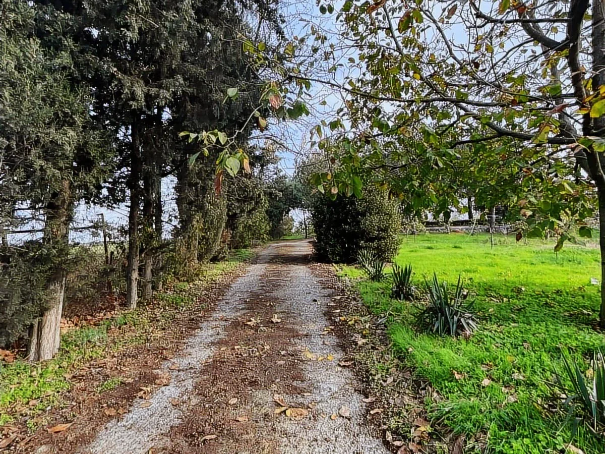 Tekirdağ Süleymanpaşa'da Meyve Ağaçları İçinde Müstakil Ev
