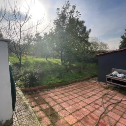 Tekirdağ Süleymanpaşa'da Meyve Ağaçları İçinde Müstakil Ev
