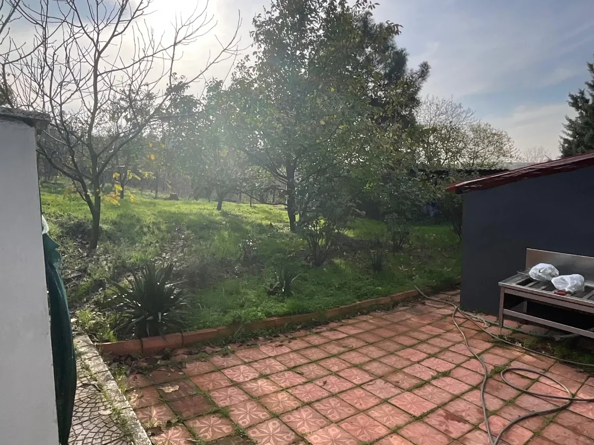 Tekirdağ Süleymanpaşa'da Meyve Ağaçları İçinde Müstakil Ev