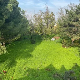 Tekirdağ Süleymanpaşa'da Meyve Ağaçları İçinde Müstakil Ev