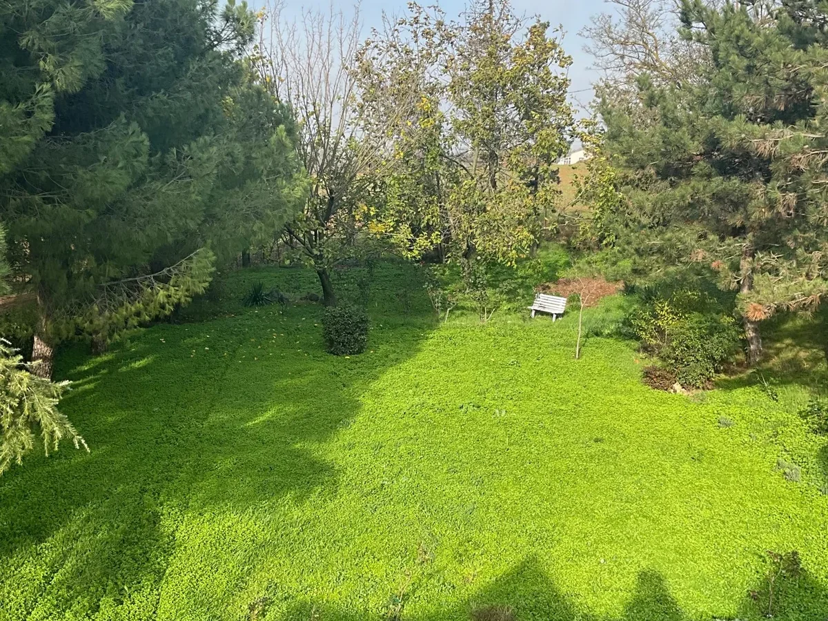 Tekirdağ Süleymanpaşa'da Meyve Ağaçları İçinde Müstakil Ev