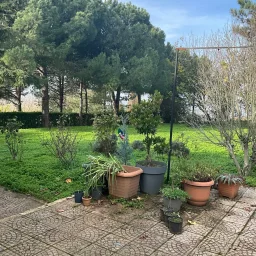 Tekirdağ Süleymanpaşa'da Meyve Ağaçları İçinde Müstakil Ev