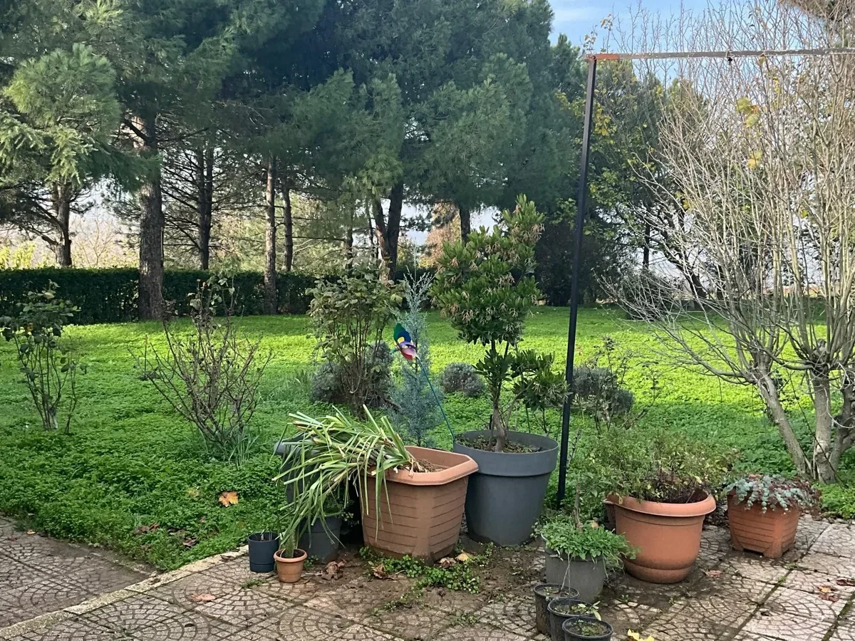 Tekirdağ Süleymanpaşa'da Meyve Ağaçları İçinde Müstakil Ev