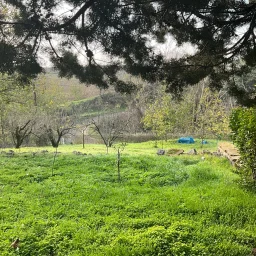 Tekirdağ Süleymanpaşa'da Meyve Ağaçları İçinde Müstakil Ev