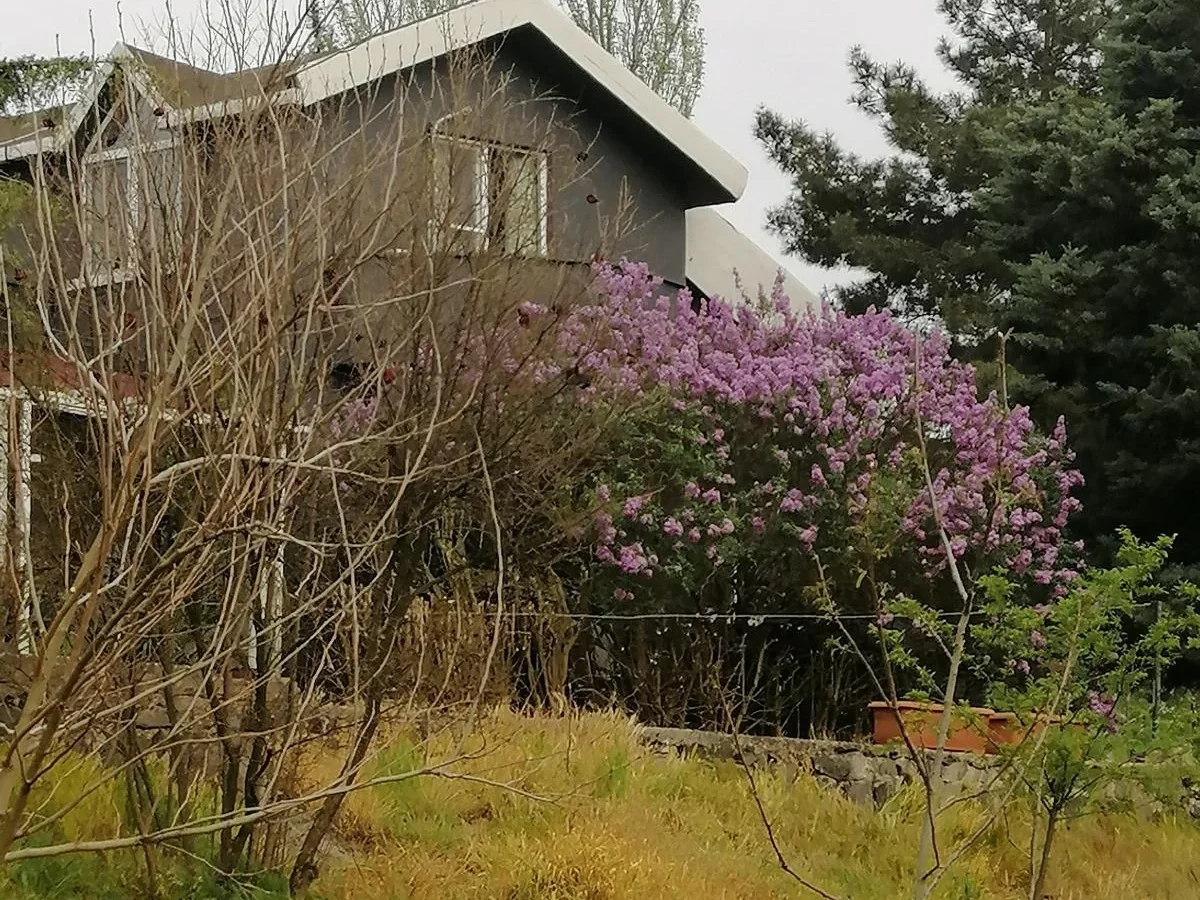 Tekirdağ Süleymanpaşa'da Meyve Ağaçları İçinde Müstakil Ev