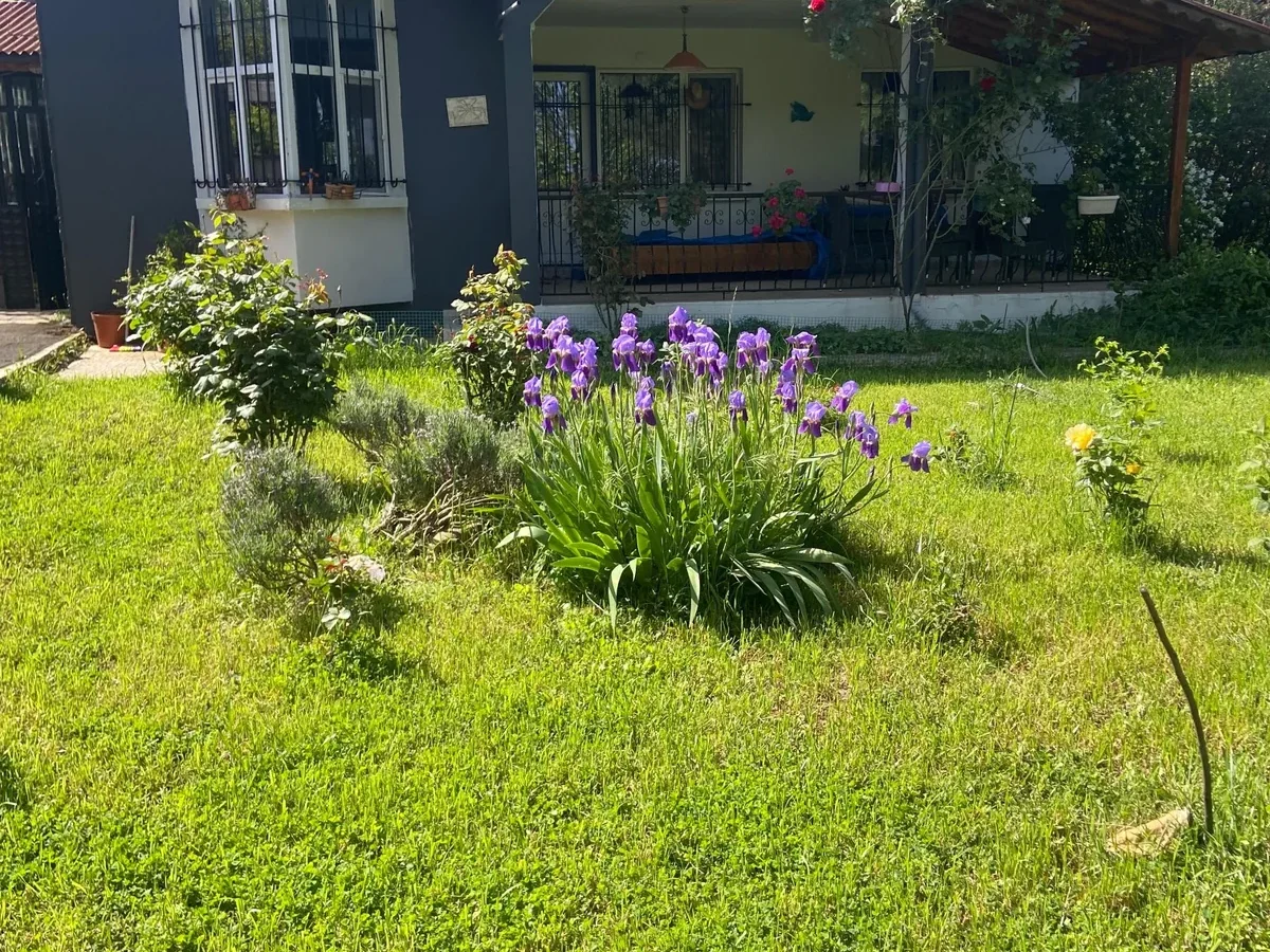 Tekirdağ Süleymanpaşa'da Meyve Ağaçları İçinde Müstakil Ev